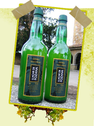 Natural Cider Llagar de Fozana